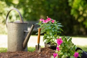 How to Successfully Grow a Home Garden