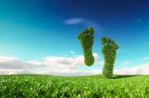 Ways To Reduce Your Carbon Footprint